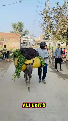 Helmet funny videos 🤣🤣🤣 new trending videos 😁 helmet full trend #trendingnow #ViralVideo #helmet 