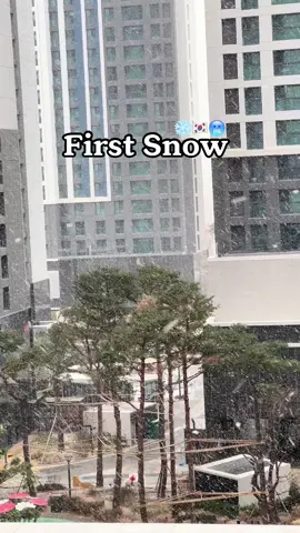 First Snow🥶🇰🇷❄️ #첫눈 #눈 #눈물 #firstsnow #snowfall 