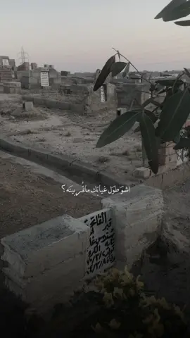 #CapCut#امي #مقبره #فقيدي_اشتقت_ٳليك  