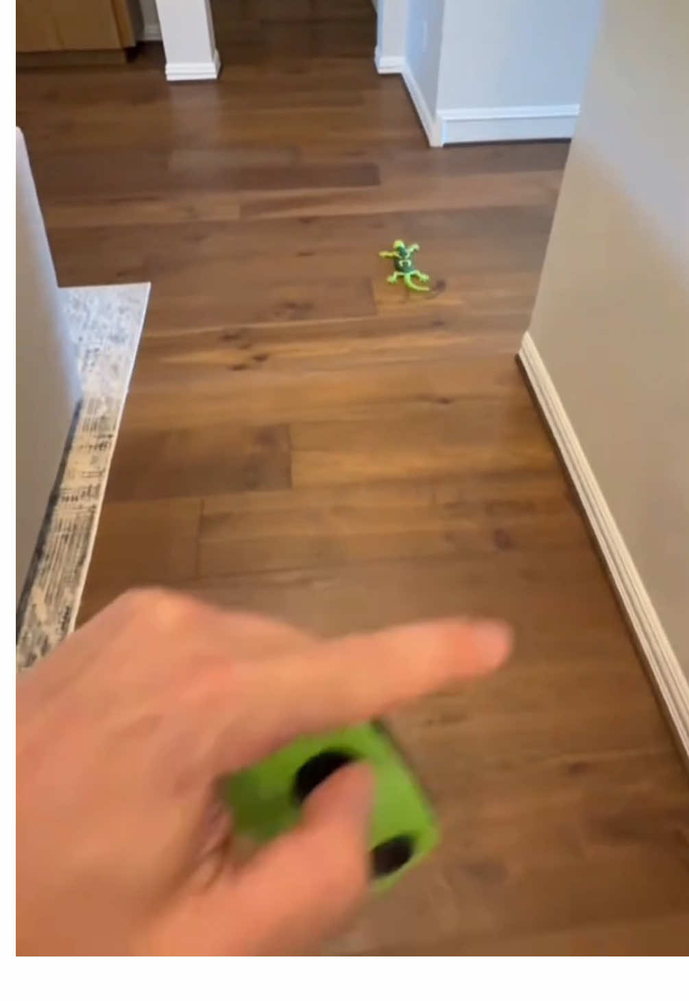 Najlepszy prezent w moim życiu tak szczerze 🎁 skomentuj jeśli też chcesz takiego gekona 🐸 #prezent #recenzja #dladzieci #zabawkidladzieci #zabawka 