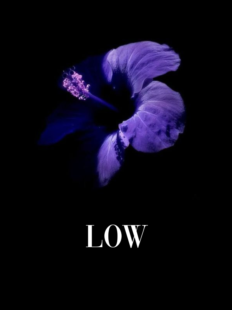 this song.... #fyp #fypage #lyrics #music #aesthetic 