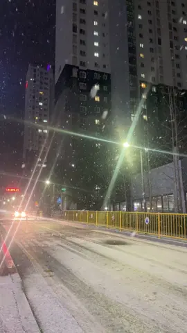 우리 지역은 벌써 눈온다❄️❄️