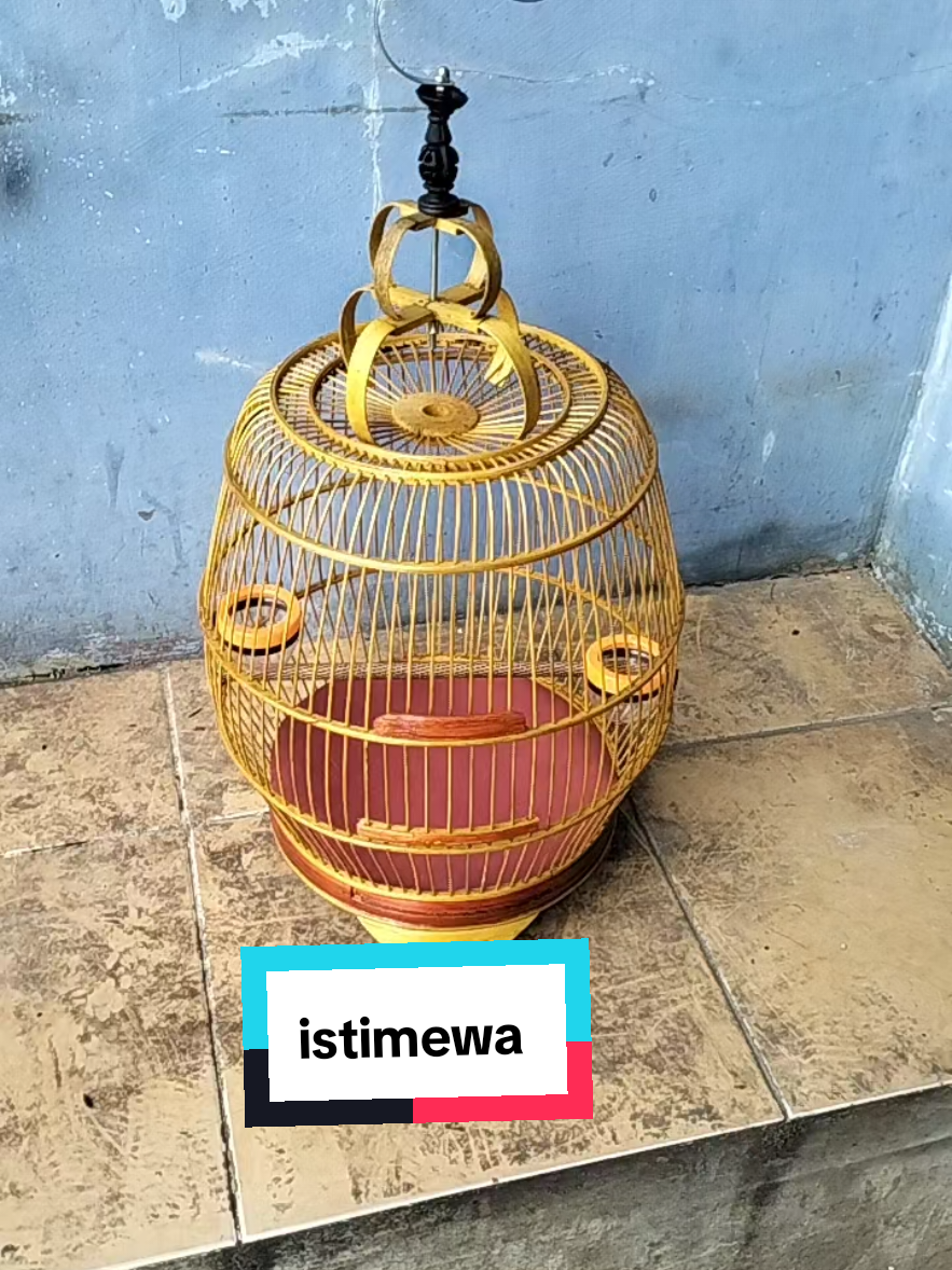 sangkar kandang burung perkutut gentong model bawang #burung #perkutut #shoptokopedia 