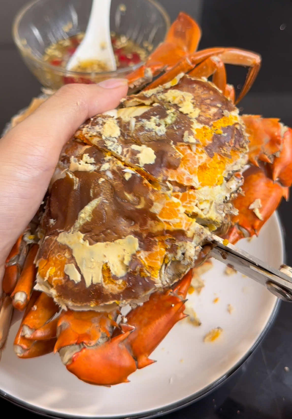 Mukbang Cua Gạch To #vinhlion #vinhlioncuacamau 