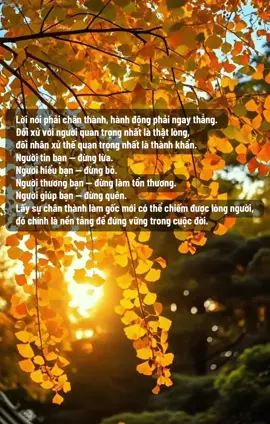 Đôi khi ta lại làm tổn thương người thương ta  #Antinhthu #chualanh 