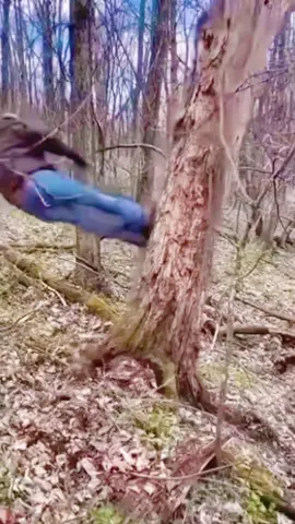 Dead wood removal #satisfying #tree #asmr #giant #oddlysatisfying 