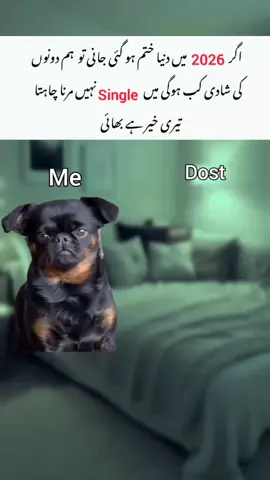 𝙊𝙃 𝙈𝙔 𝙔𝙀𝙎 😂🤡 . . . #memes_by_haseeb  #unfreezemyaccount  #10k  #follower 