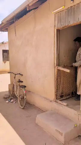 kitanda#colombia #tranding #uganda #comedia #videoviral 