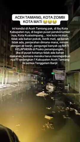 Aceh Tamiang, Kota Zombi, Kota Mati 😭😭😭 ini kondisi di Aceh Tamiang pak, di Ibu Kota Kabupaten nya, di bagian pusat perekonomian nya, Kota Kualasimpang…. kini kota ini mati, tidak ada bahan pokok, listrik mati, air bersih tidak ada, penjarahan dimana-mana, minum dengan air banjir, pengungsi banyak yg MATI di Posko penampungan..  jika di pusat kotanya tidak ada bahan makanan, kemana mereka harus mendapatkan nya?? sedangkan 1 Kabupaten Aceh Tamiang ini semua Tenggelam Banjir #prayforaceh #prayforsumatera #prayforacehtamiang 