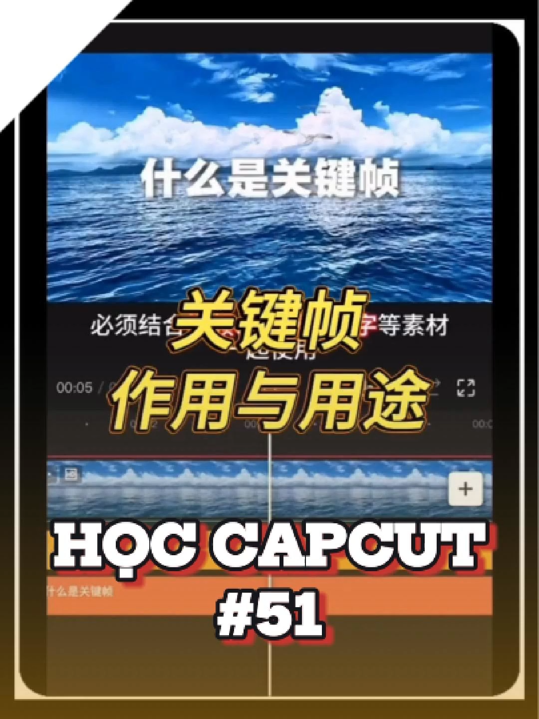 Hôm nay hầu ca dạy bạn chi tiết về keyframe #capcut #editcapcut #laotonedit #huongdanedit