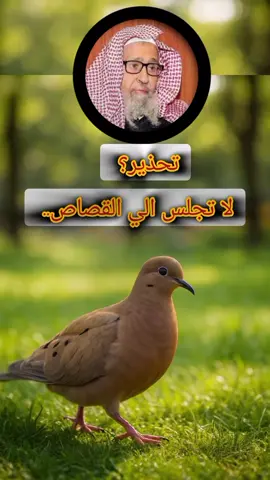 #لا تجلس الي القصاص #العلامه_الشيخ_صالح_الفوزان_حفظه_الله #العلامه_الشيخ_صالح_الفوزان_حفظه_الله #العلامه_الشيخ_صالح_الفوزان_حفظه_الله #العلامه_الشيخ_صالح_الفوزان_حفظه_الله 