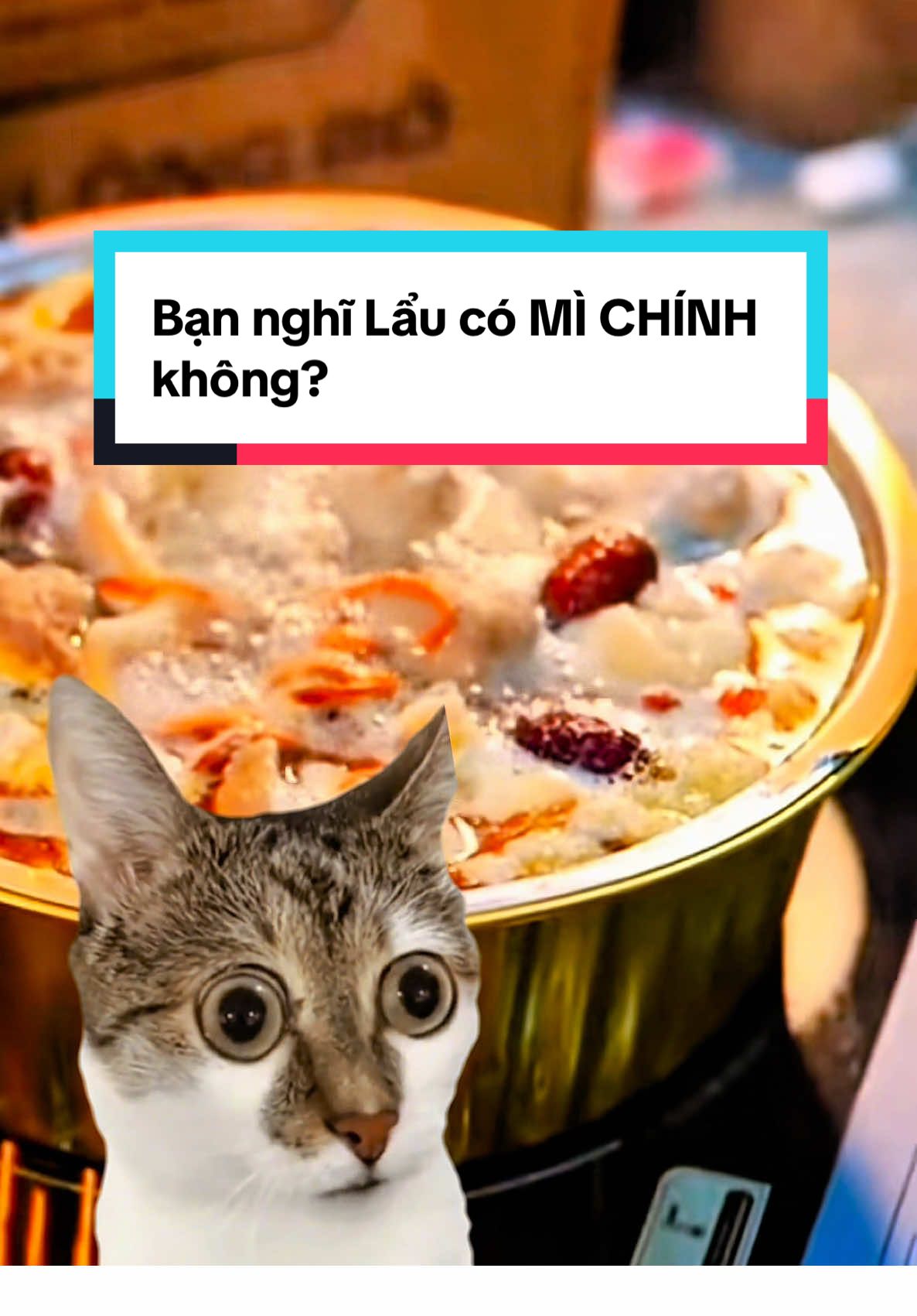Bạn nghĩ Lẩu có MÌ CHÍNH? Sự thật bất ngờ ở đây… 🤯 #ancungtiktok #xhhhhhhhhhhhhhhhhhhhhhhh #LearnOnTikTok #laumangve #lauchovieng 