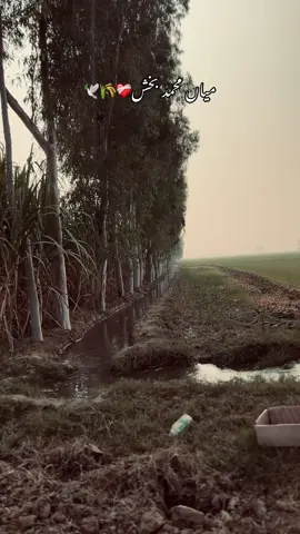 Well explained 🌸🌾❤️‍🩹🕊️🌺#foryoupage❤️❤️💞💞💞💞💞 #punjabi #fyp #viralideo #creatorsearchinsights 