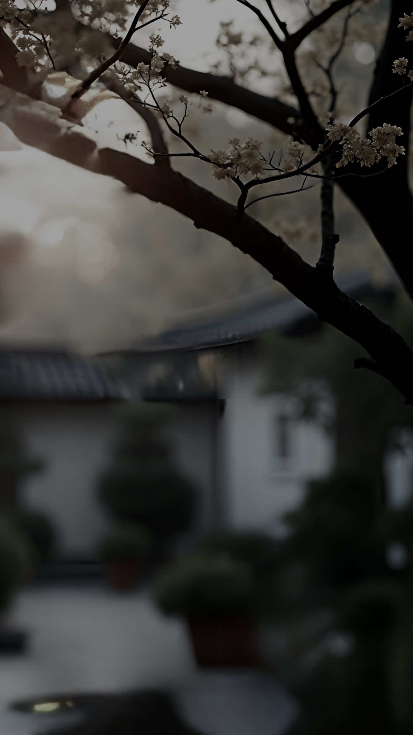 Nỗi buồn tôi bán ai đâu mà mua#su15089x #fyp #nhactamtrang #nhachaymoingay #sbtentertainment 