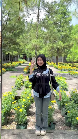 #cutbrayjeans #flaredjeans #flaredpants #lulujeans 