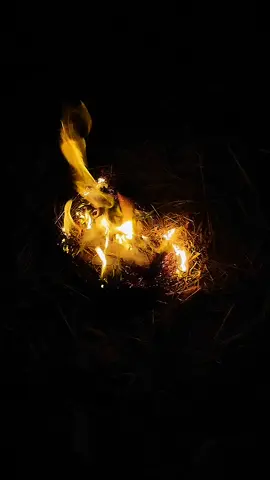 #foryou #trending #tiktok #viralvideo #fyppppppppppppppppppppppp @For You @🔥💫 tiktok 💫🔥 