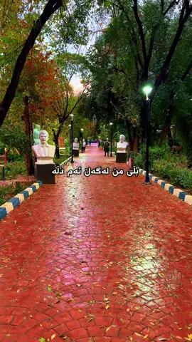 #fyp #foryoupage #kurdistan #kurd 