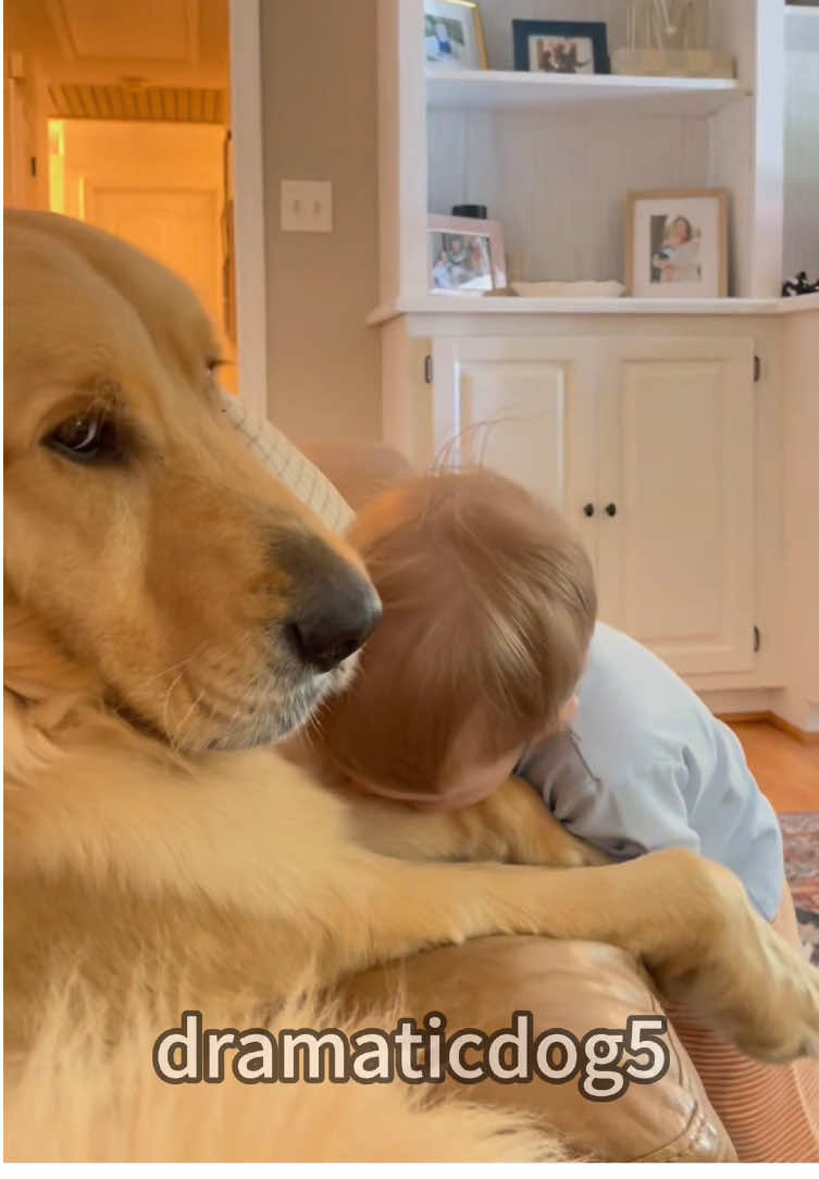 Babies and dogs are best friends.🥰🐶#dog #pet #funnydog #dogvideos #fyp 