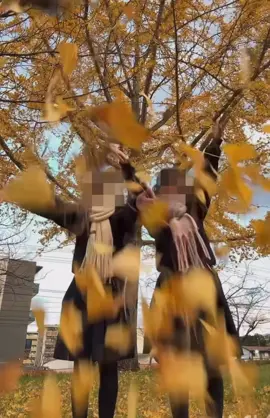 放課後に紅葉でーとしたﾖ❤️ #紅葉 #ljk #マフラー#07 #大分