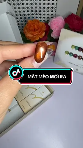 Set mắt mèo 8 màu DANZHIHE màu đậm #thiennga #lamdep #phunu #nail #xuhuong 