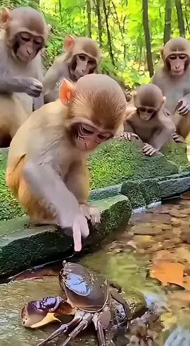 #မစူးစမ်းသင့်တဲ့အကြောင်းအရာ🤣🤣😅😔#fyppppppp