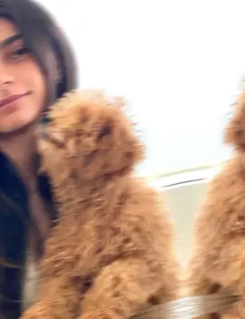 magaca hajiro @عبد الرحمن🌙⚡✨ @꧁🐆maxaa qoraa🐅꧂ 