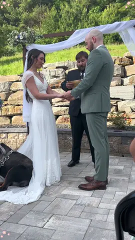 The dog at the wedding#funny #weddingdog#dog#usa #fyp 