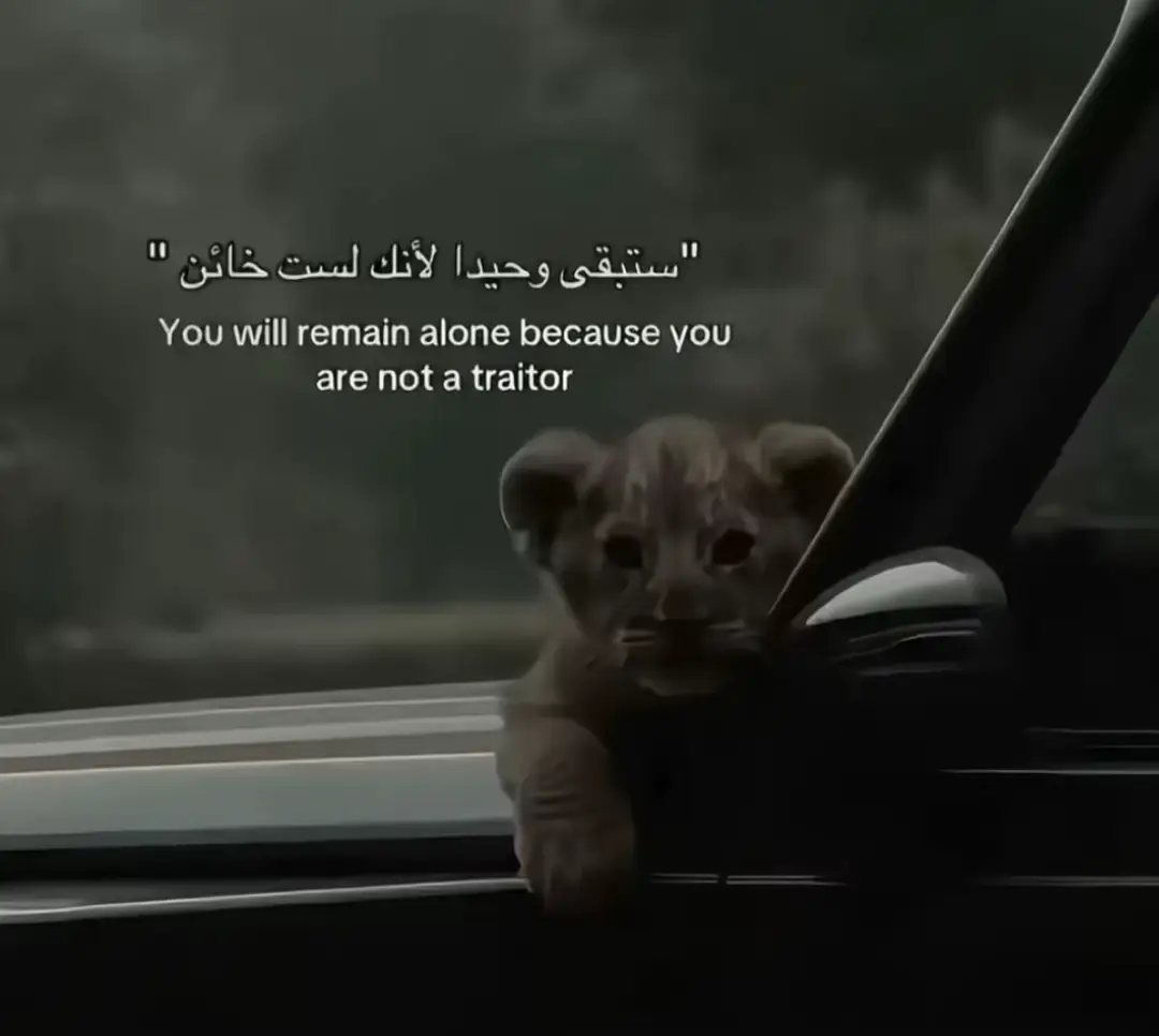 أيامنا كانت وانتهت #حبش #حبش_للتربيه_وتعليم 