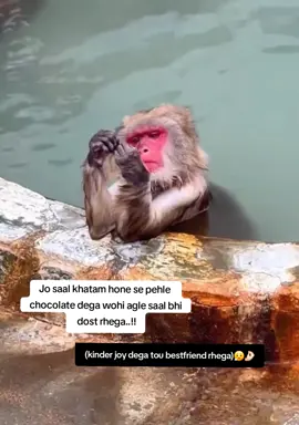 Deal?🤝 #viralvideotiktok #fyp #viraltiktok #fyppppppppppppppppppppppp #foryou 