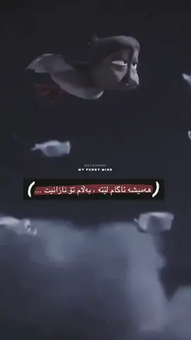 #hawler_slemani_dhok_karkuk_hallabja #follow #شعب_الصيني_ماله_حل #explore #hawler 