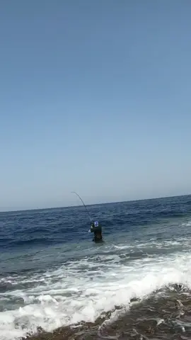 extreme fishing zone 🎣 #gianttravelly #fishing #mancing #fyp 