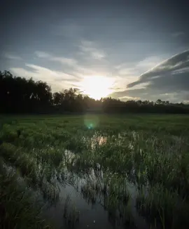 “ 这世上,只有自己明白,自己承受了什么。 有些事,明明是你吃亏,可你一开口,就变 成了有过错的一方 。 “ “ Trên đời này, chỉ có bản thân mới hiểu những gì mình đã phải chịu đựng. Có những chuyện rõ ràng mình là người thiệt thòi, nhưng khi mở miệng lại trở thành người có lỗi. “