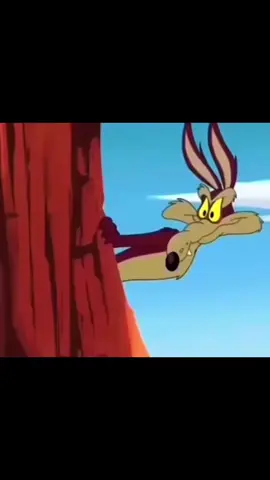 Ce coyote ressemble à certains pendant mes lives 🤭