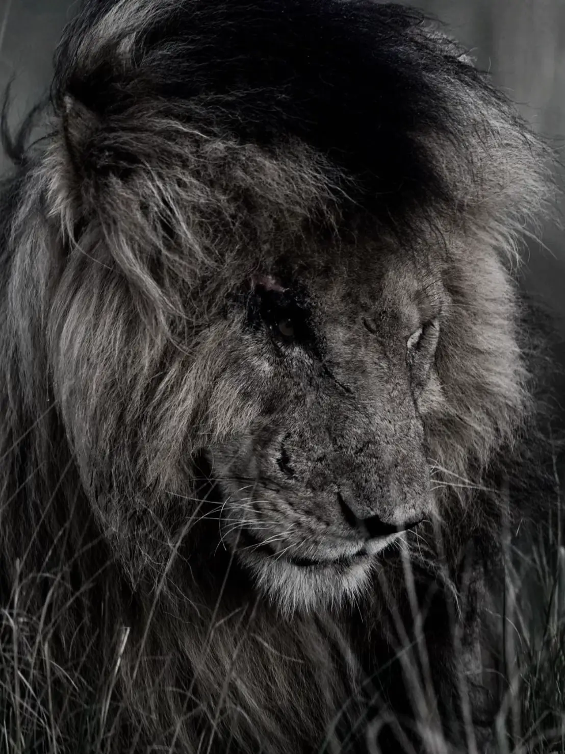 #pubgmobile #مواهب_ببجي_موبايل_العربية #بوبجي #بوبجي_موبايل #ببجي 