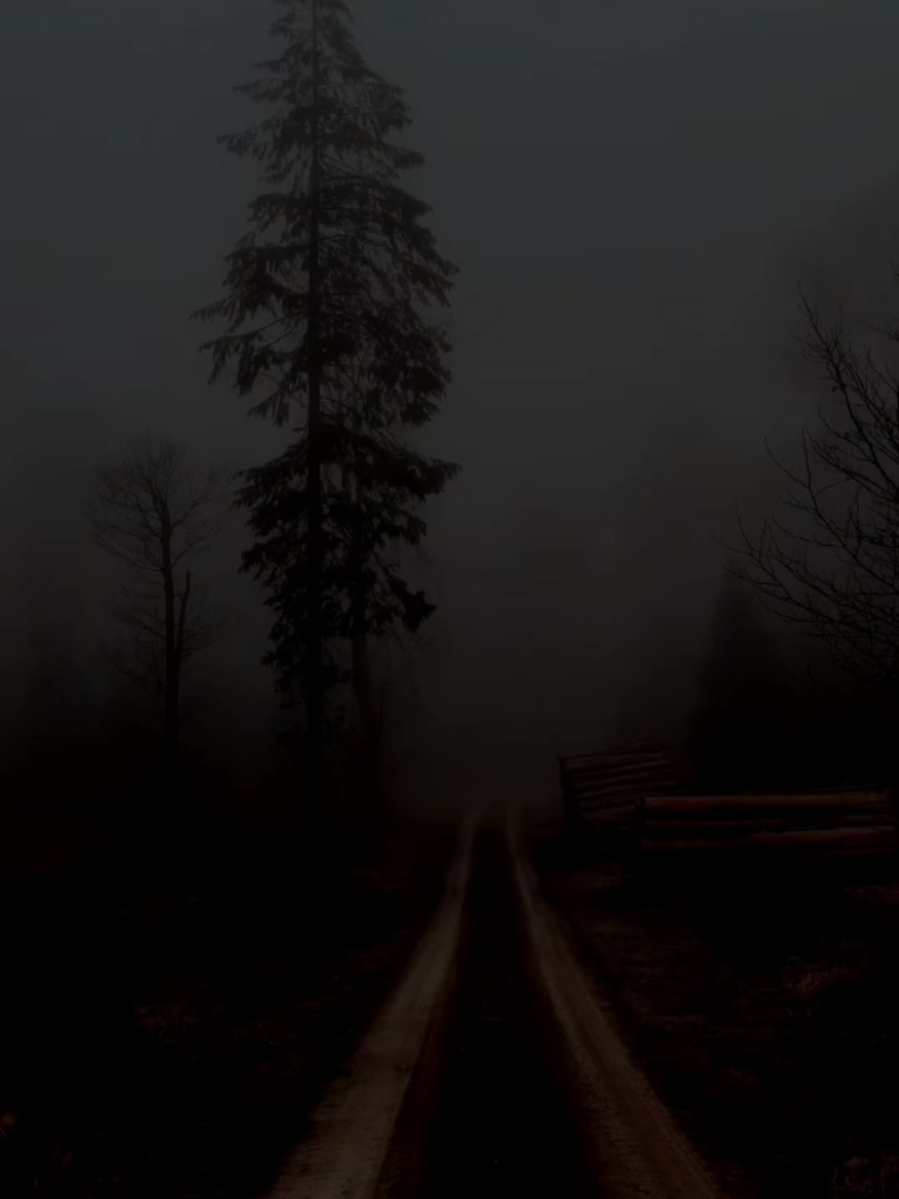 سوڕەتی (الإخلاص) - القارئ : عامر الكاظمي