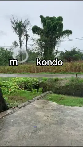 tag cowo mokondo kelen🙌🏻#fyp #foryou 