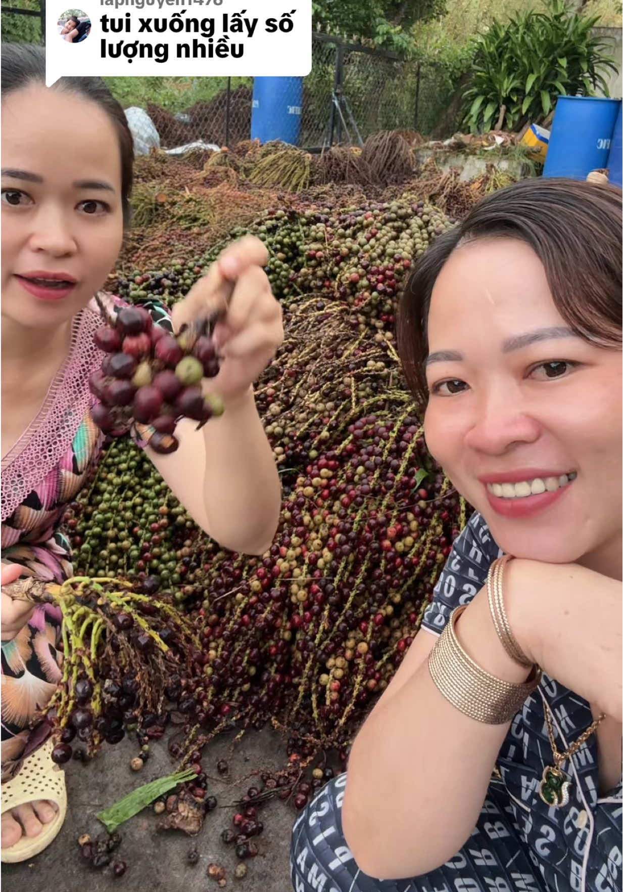 Trả lời @lapnguyen1476 TRÁI ĐỦNG ĐỈNH KHÔ #daunhucxuongkhop #hoaitukhophang #guot #baithuochaymoingay 