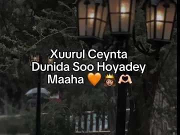 xurul ceynta dunida👸🏽🌹#somalilyrics🌺😕💎 #jawi_bila🌊❤️🌴 #foryoupage #fypシ゚ 