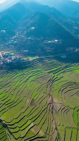 Beautiful farms, Maidan khwar Barawal ⛰