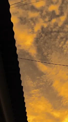 الحب الحقيقي لن يخون أبدًا “Cinta yang tulus tidak akan pernah mengkhianati