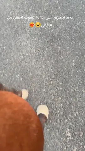 خيل و خياله🐴🐴 #خيل_وخياله🐎  #خيل_عربي_اصيل  #فارس  #راحة_نفسية  #كنتر 