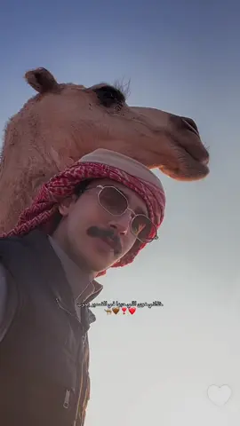 سنابات العزبه THE BEST 🤯🐪🤎❣️ @علي عواض #علي_الحارثي #علي_عواض_الحارثي #الشعب_الصيني_ماله_حل😂😂 #مالي_خلق_احط_هاشتاقات #explore 