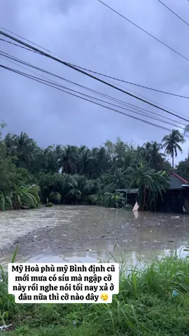 Mỹ Hoà có nhà ngập vô nhà trên mắt cá chân rồi 😢#lũ2025 #lũlụt #ngập_lụt 