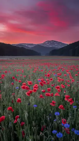 #هیج #کە س#نامێنێ #ئاله م#دونیایه ....