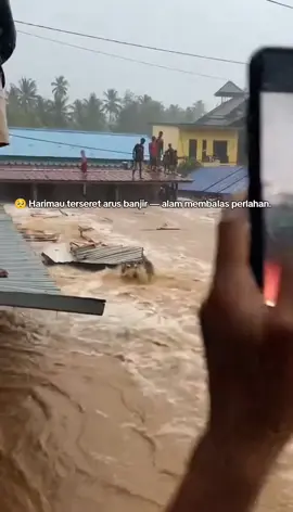 “tanah tenggelam… dan harimau ini ikut terseret — bukan karena salahnya, tapi karena dunia yang lupa: ada makhluk lain yang tinggal di sini selain manusia.” Dia berdiri di atas selembar seng, di arus yang lahir dari pohon yang kita tumbangkan, hutan yang kita bakar, rumah yang kita rampas tanpa pernah menoleh ke belakang.” Lihat matanya… itu bukan sekadar takut. Itu tatapan makhluk yang bertanya, ‘Kenapa aku harus kehilangan rumah padahal aku tak pernah mengganggu?’” Dia cuma ingin hidup. Dia cuma ingin pulang. Dan dia tak pernah minta jadi korban.” Mungkin video ini editan, tapi rasa sakit seperti ini nyata. Banjirnya nyata. korbannya nyata. Dan harimau seperti dia benar-benar kehilangan tempat pulang setiap hari.” Semoga dia selamat, semoga Sibolga kuat, dan semoga kita berhenti menunggu alam marah baru mau belajar peduli.” 💔🌧️🙏 “Kalau kamu lihat ini… jangan cuma lewat. Tinggalkan doa — untuk semua makhluk yang ikut menanggung akibat tangan kita.” #banjir2025  #savethetiger  #doasibolga  #alamkembalimarah  #kitasemuabertanggungjawab 