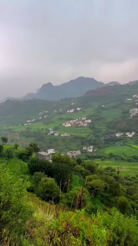 #محمية #عتمه #منظر_جميل_في_قمت_الروعه #تصميم_فيديوهات🎶🎤🎬 #لاتنسو_لايك_متابعة_اكسبلور 