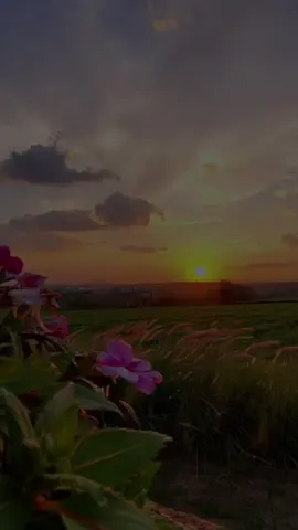 #CapCut #LIVEIncentiveProgram #LIVEFEST2025 #MakeLIVECount #PaidPartnership 