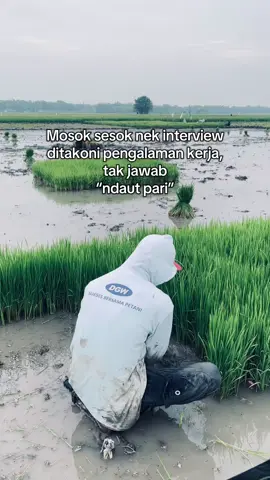 Pengalaman kerja”ndaut neng sawah”😂😅#fyp