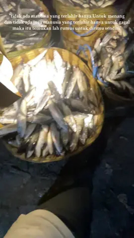 #tambakudang #tambakbandeng #tambakpolikultur #tambaktradisional #tambaknila 