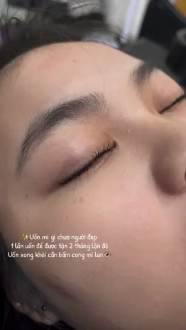 Book lịch uốn mi đi Noel thui khách ơii🎄🎄#viral #uonmitainha #uonmisieucong #tiktok #xuhuong 